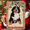Search for grandma rectangular magnets Under ten dollars