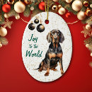 Search for coonhound ornaments Animal