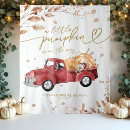 Search for pumpkin backdrops Pumpkin baby shower