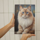 Recherche de races de chat posters Cats