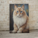 Recherche de peinture chat toiles Mur du chat