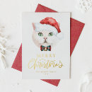 Recherche de shorthair vœux cartes Aquarelle