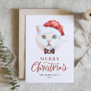 Search for cute cat christmas cards Watercolor