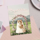 Recherche de chat nuptiale Pour eux