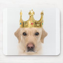 Search for crowned mousepads Animal