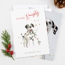 Search for animal lover christmas cards Whimsical