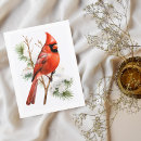 Search for snow birds postcards Winter bird