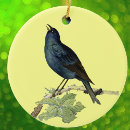 Search for caterpillar ornaments Bug