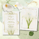 Recherche de calla blanche Pour eux