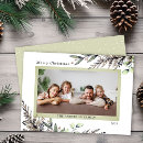 Search for pine needles christmas cards Modern