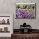 Search for serene landscape posters Tranquil scene