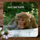 Recherche de singe dessous de verres Animal