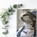 Search for airline pilot cards Airplane