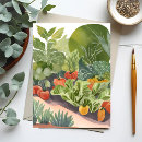 Recherche de potager cartes postales Légumes