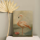 Search for flamingo canvas prints Wildlife
