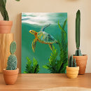 Search for sea turtle canvas prints Aquatic
