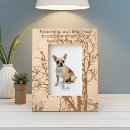 Search for family tree quote home living Friends