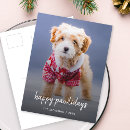 Recherche de chiot de vacances cartes postales Zvacances