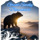 Search for bear tshirts Usa