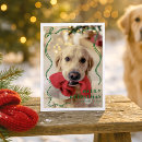 Search for animal lover christmas cards Whimsical