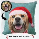 Search for christmas dog pillows Fun