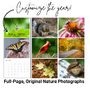 Search for backyard photography Bird