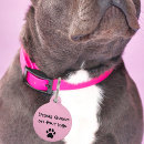 Recherche de reine animaux articles Rose