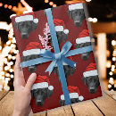 Search for funny dog wrapping paper Create your own