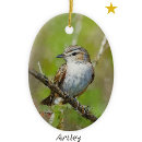 Search for red bird ornaments Green