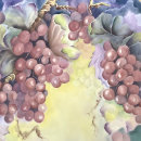 Recherche de bouteilles de vin serviettes Vignoble