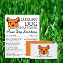 Search for dog boarding flyers Dogs