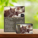 Search for cattery business cards Pets