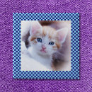 Recherche de chèques badges Vérifier