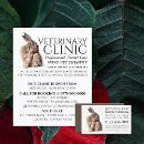Search for veterinary flyers Veterinarian