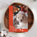 Search for santa paws christmas cards Dog photo
