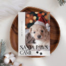 Search for santa paws christmas cards Dog photo