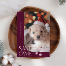 Search for santa paws christmas cards Dog photo
