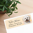 Search for maltese return address labels Cute
