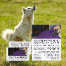 Search for adopting flyers Animals