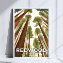Search for redwood tree posters Forest
