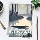 Search for everglades postcards Swamp