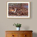 Search for fallow posters Forest