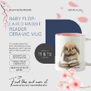 Search for rabbit ears mugs Bunny