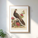Search for peacock posters Nature