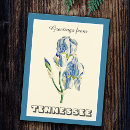 Recherche de iris cartes postales Classique
