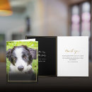 Search for condolences for loss of cat cards Bereavement