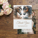 Search for brown photo cards Nature