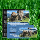 Recherche de vaches cartes visite Customer