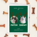 Search for meowy christmas cards Green