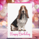Recherche de chien de basset Maman